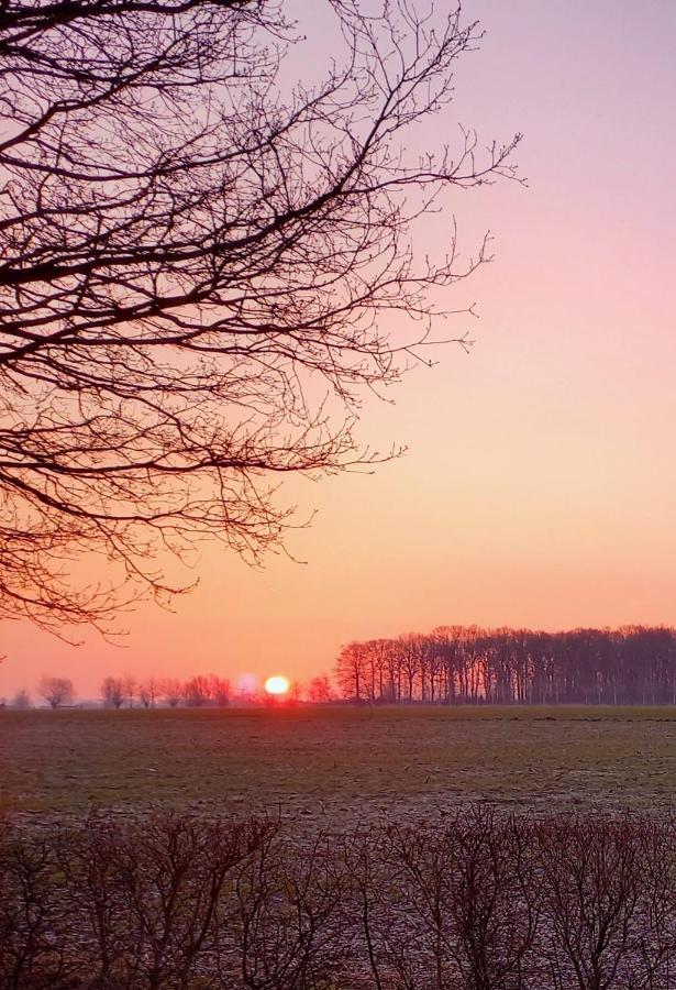 Vakantiewoning Victors Hof Tot 4 Pers Lievegem Exterior foto
