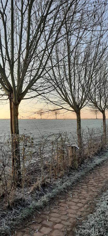 Vakantiewoning Victors Hof Tot 4 Pers Lievegem Exterior foto