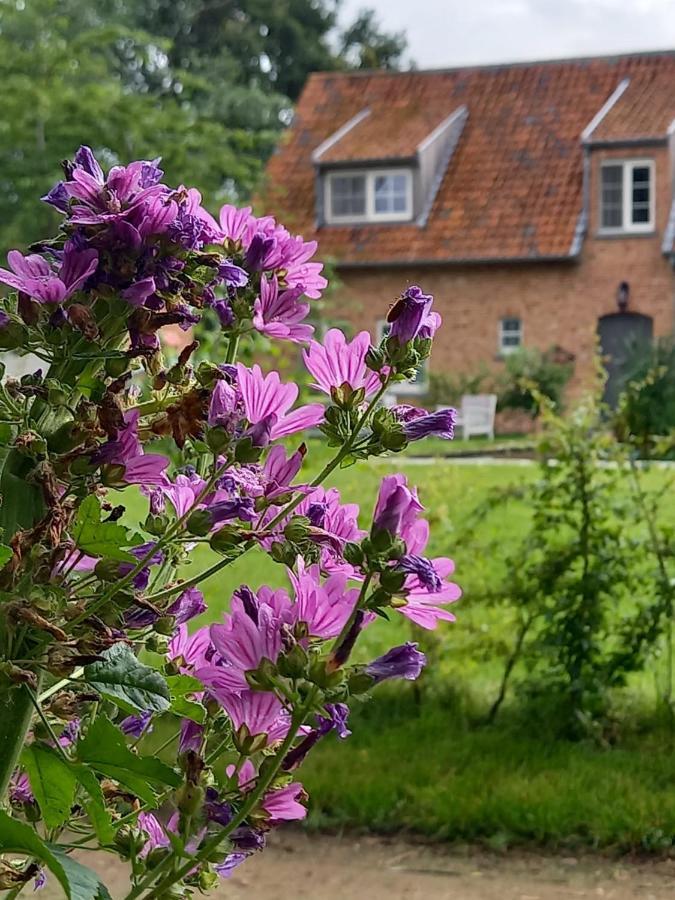 Vakantiewoning Victors Hof Tot 4 Pers Lievegem Exterior foto